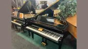 Piano Showcase