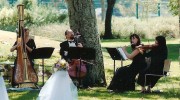 Elegant Music