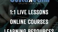 1:1 Live Online Guitar Lessons