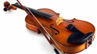 Violin/Viola