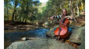 Lively Strings Studio